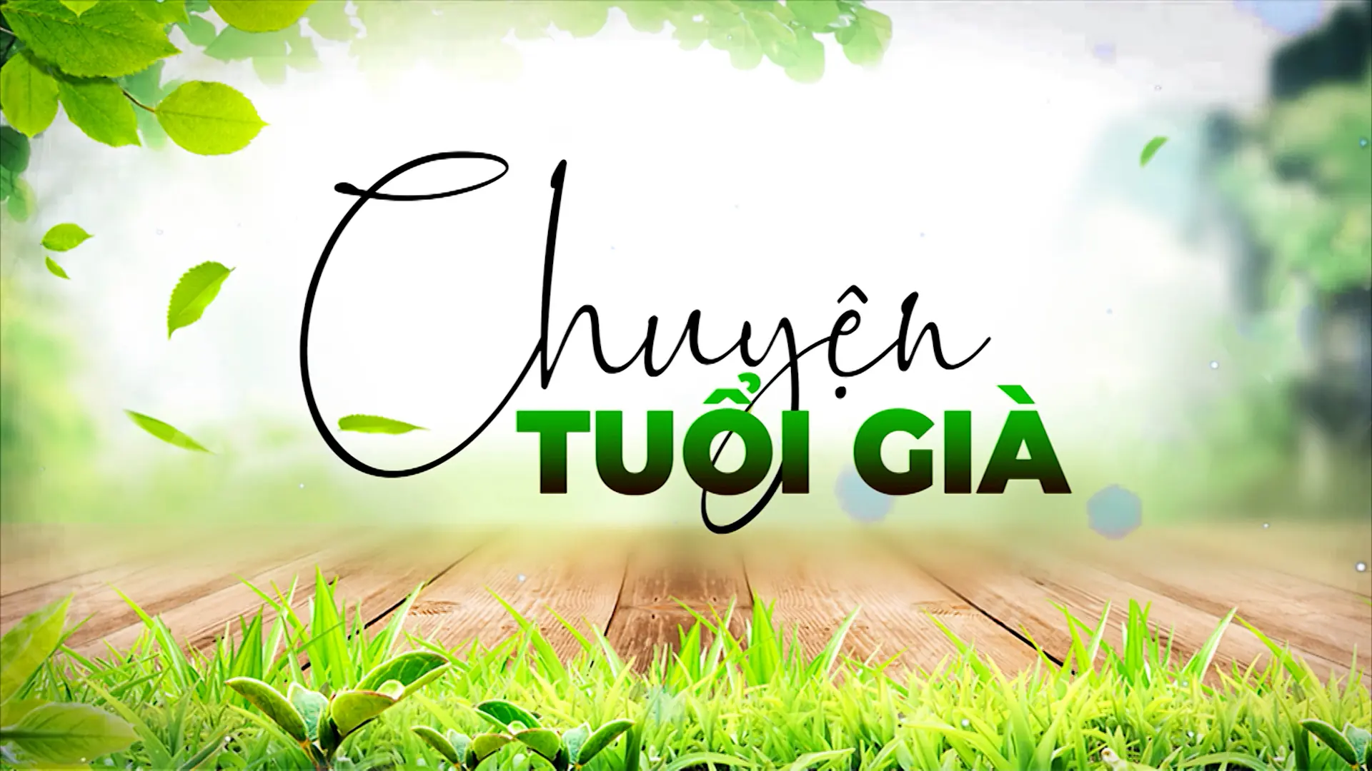 Thể dục buổi sáng - liều thuốc của tuổi già | Chuyện tuổi già | 17/08/2025